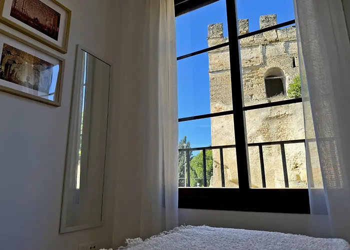 Antique Muralla - Ole Solutions