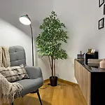 Antique Muralla - Ole Solutions * 赫雷斯